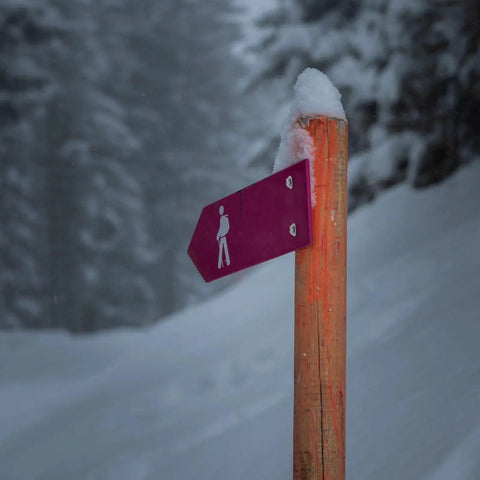 Snow-covered hiking trail signpost with a purple arrow and hiker symbol, surrounded by snowy trees.