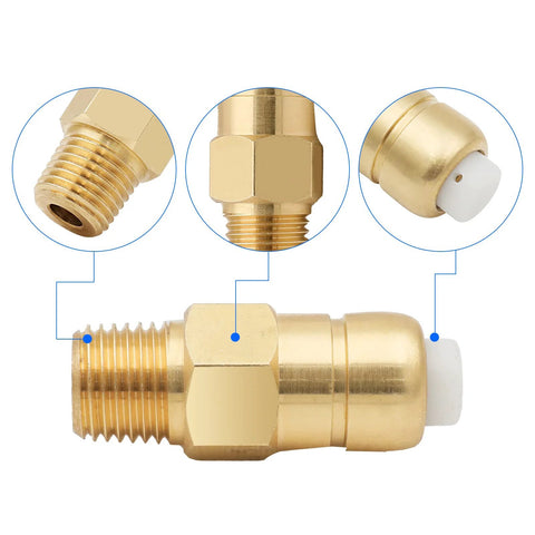 Brass 1/4 in NPT thermal relief valve for pressure washer pump, 2-pack with hex nut and white insert