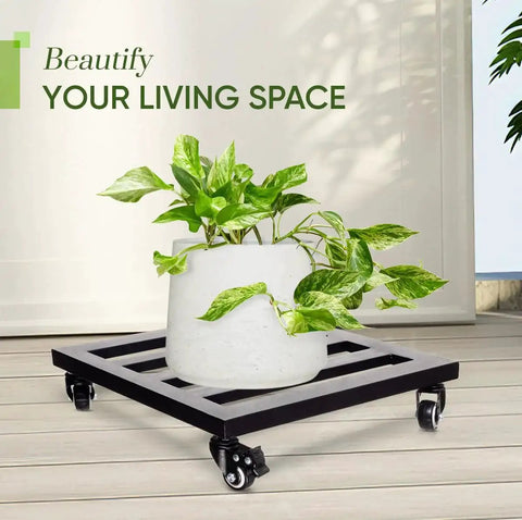 Lockable Heavy Duty Plant Caddy Trolley With 12 Inch Wheels Steel Construction showcasing large potted plant indoors.