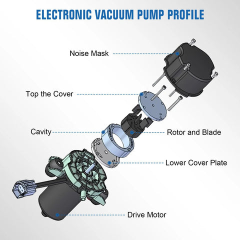 Automotive vacuum pump assembly exploded view showing drive motor, rotor and blade, lower cover plate, cavity, top cover, and noise mask.