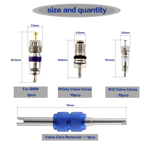 Automotive AC valve core kit with R134a cores (10), R12 cores (10), 2 BMW cores, and a blue valve core remover tool