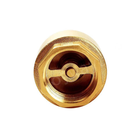 Brass 3/4" NPT female check valve, one-way backflow preventer; front view showing hex end fitting