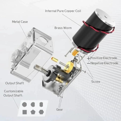 Exploded view of Reversible Worm Gear Motor with Self Locking Design showing internal components and 8mm D shaft
