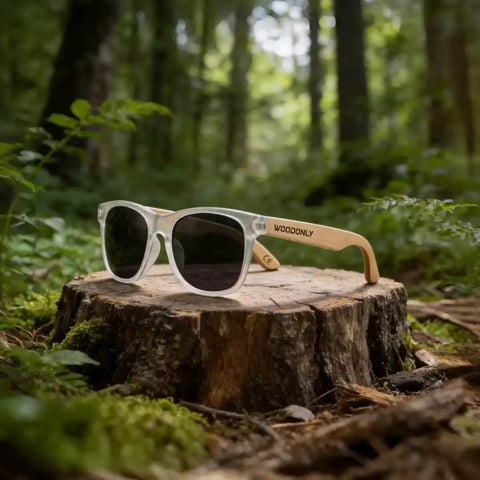 Unisex Wooden Polarized Sunglasses With Maple Wood Temples, White And Maple Color, UV Protection on forest tree stump