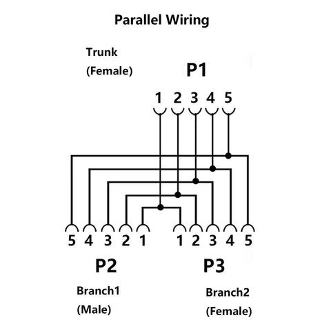 Diagram of M12 A-Coded 5-Pin Female To Dual 5-Pin Female Y-Splitter Cable wiring, showing parallel connections from P1 to P2 and P3.