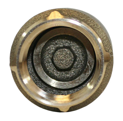 Close-up of 1-inch brass check valve with threaded ends; no-lead brass body and dark inner core visible.