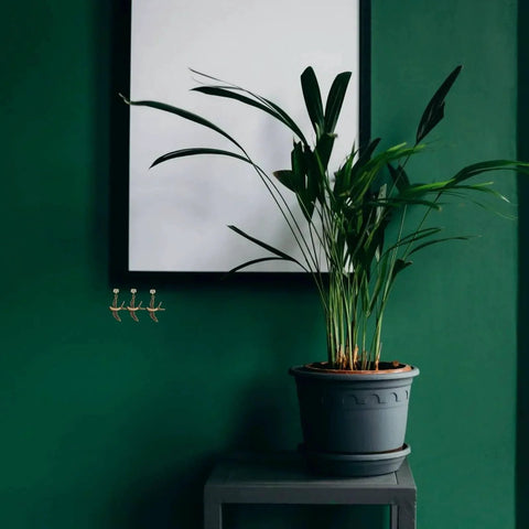 Swallow Shaped Brass Hinge Head Decorative Toppers For Door Hinge Pins With Magnetic Design set against a green wall with a plant nearby.