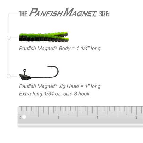 Panfish Magnet Kit With Longer Shad Dart Hook, 82 Piece Lure Set Including 70 Split Tail Grub Bodies And 12 Size 8 Mustad Hooks For Catching Panfish, Trout, Bass And More size chart with ruler, hook, and lure body.