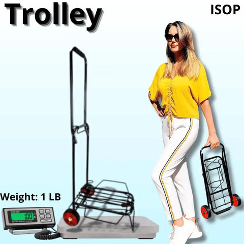 Foldable Lightweight Two Wheel Shopping Cart Dolly With Easy Open Design Portable Hand Truck next to a woman holding another one