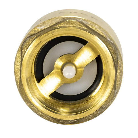 Eastman brass in-line check valve, 1 in IPS threaded connection, stainless steel spring, front view