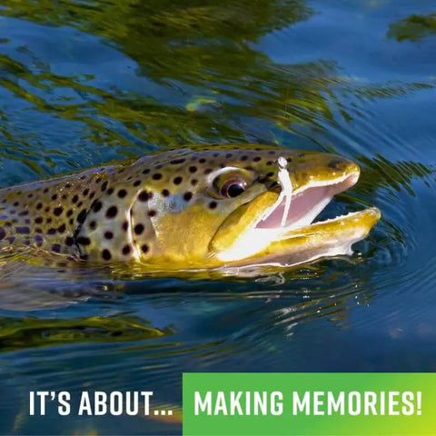 Trout fish in water with lure in its mouth, highlighting use of TNT Kit 82-Piece Trout Lure Set With 70 Soft Plastic Bodies And 12 Jig Heads.