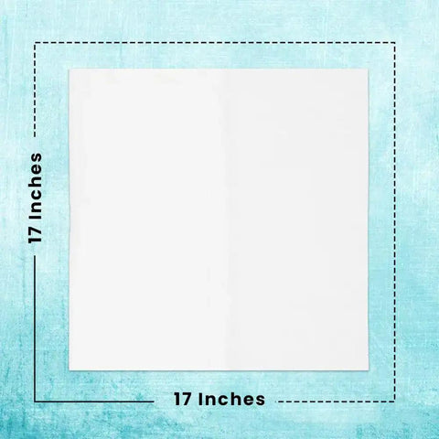 Lint Free Cleaning Rags 24 Pack 100 Percent Cotton Cloths Soft Tee Shirt Material Highly Absorbent And Durable Pro Grade 17 Inches