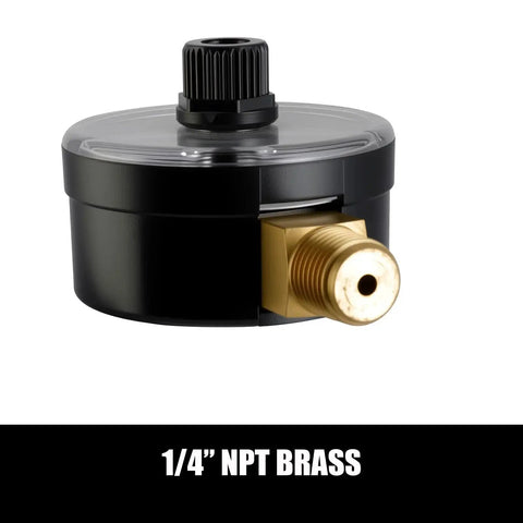 Replacement Pressure Gauge For Pool And Spa Systems One Quarter Inch NPT Back Mount Two Inch Dial 0-60 Psi