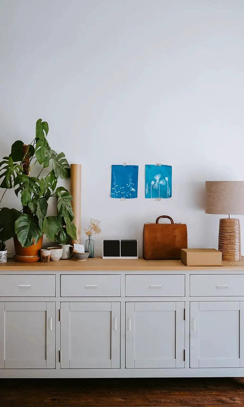 White cabinet with decor items and plants against a plain wall, no visible handles for focus keyword inclusion.