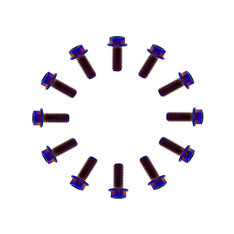 Titanium Flange Hex Head Bolts M6x1.0x13mm Burnt Blue 6AL4V Aerospace Grade Ti Bolts Pack Of 12 arranged in circle