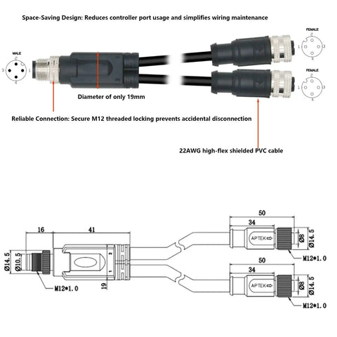 Diagram and photo of 4 Pin A Coded M12 Y Splitter Cable 1 To 2 For Industrial Automation Actuator Sensor DeviceNet CANopen PLC IO PVC Shielded