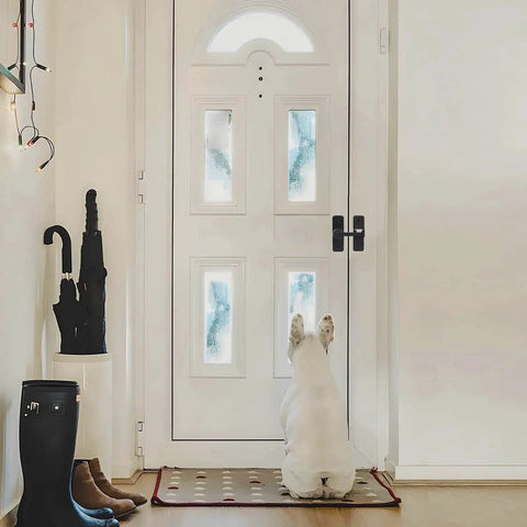 Dog sitting in front of a closed white door with frosted glass panels in a well-lit hallway.