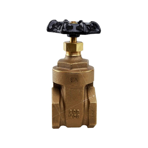 Brass gate valve with black wheel handle, 2 in. FIP connections.