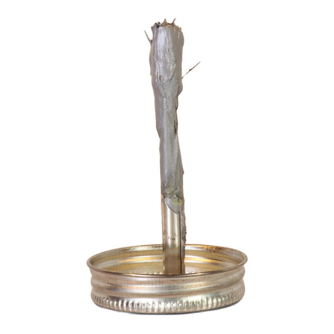 Brush top of Copper Based Anti Seize Lubricant With Brush Top For Brake Calipers Spark Plugs And Exhaust Bolts Extreme Temperature