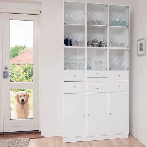 White cabinet with glass shelves beside a door with a golden retriever outside