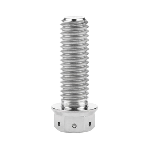 Titanium Flange Hex Head Bolt M10x30mm for bikes, motorcycles, cars, Grade 5 6Al4V, with 16mm flange head, silver finish, single bolt view