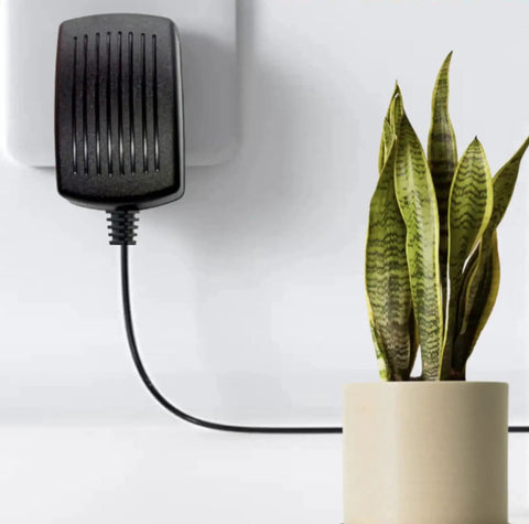 24V AC DC Adapter Replacement For ENG Equipment Model 6A-181WP24 plug in wall next to a potted plant
