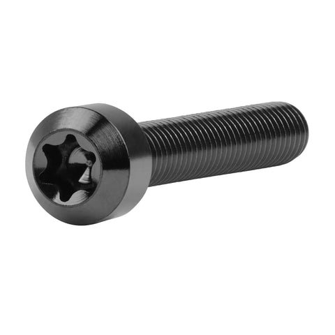 Titanium Torx Square Head M6x40mm Bolt Set For Bicycle Motorcycle Car Fit 6AL4V Grade 5 Titanium Alloy 1mm Pitch With T30 Torx