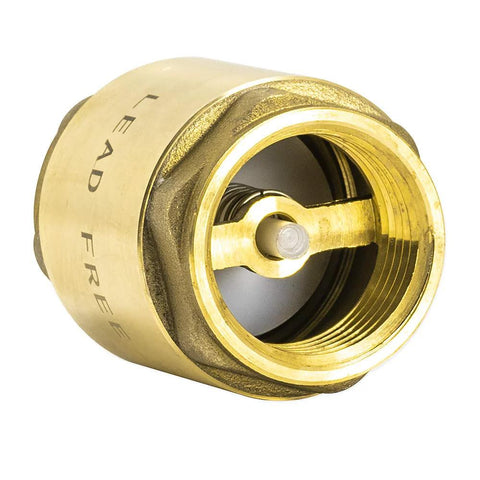 Eastman brass in-line check valve, 1 inch IPS threaded, stainless steel spring