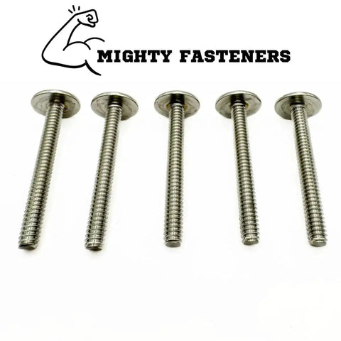 Combo Sidewalk Bolts Set In 304 Stainless Steel For Hurricane Hardware, One Quarter Inch By One Inch, 5 pack displayed