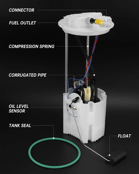 Diagram of Electric Fuel Pump Module Assembly For 2009 And 2010 Dodge Ram 1500 V6 3.7L Or V8 5.7L with labeled parts
