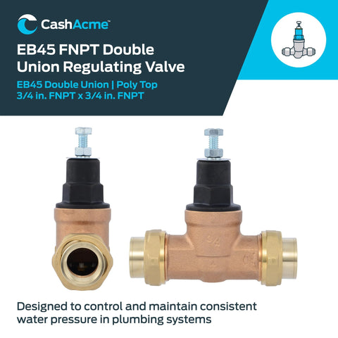 CashAcme EB45 FNPT double-Union pressure regulating valve, brass body, 3/4 in. NPT female, two-view display