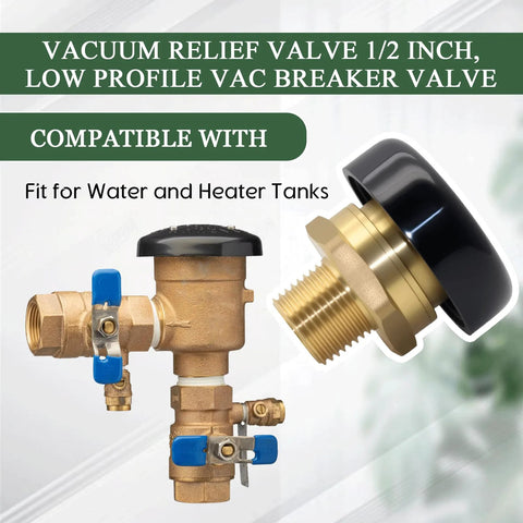Vacuum relief valve, 1/2 in brass low-profile vac breaker with blue-handled shutoff valves and adapter.
