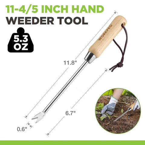 Two Pronged Dandelion Weeder Puller Tool With Wood Handle Stainless Steel Garden Weed Remover, dimensions shown, used in soil.