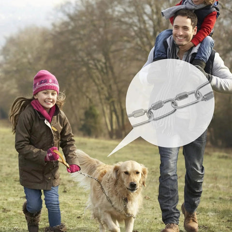 Family walking a dog with a leash secured by a 304 Stainless Steel D Shaped Locking Quick Link Carabiner Set Of 10.