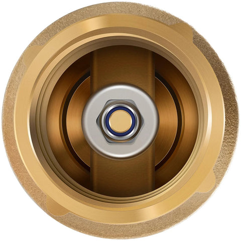 1-inch no-lead brass check valve with backflow preventer; close-up internal view showing blue seal and hex nut.