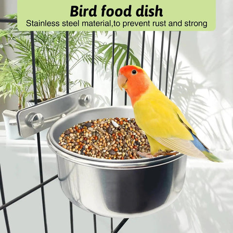 Stainless Steel Bird Bowls With Clamp for Cage Birds Tfwadmx 4 Pack Durable Rustproof Coop Cup with lovebird perched on bowl