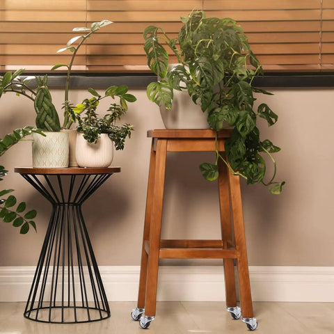 Wooden plant stand with Mini 1 Inch Swivel Threaded Stem Casters M6x15mm, TPE wheels, chrome steel frame, 99 lb capacity