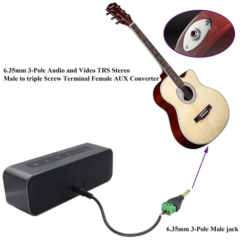 1/4 Inch TRS Audio Screw Terminal Block Adapter connecting electric bass to amplifier, showing 6.35mm male to 3 pin female terminals