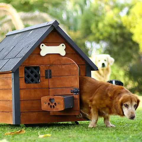 Doghouse with decorative bone and brown dog, featuring Two Inch Stainless Steel Folding Hinges For Wood Doors And Wooden Boxes Ideal For Small Crafts And Lightweight Projects Includes 108 Screws Durable Mounting Hardware For Easy Installation.