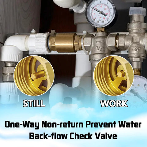 Boltigen 2-pack solid-brass spring check valves, 1/2 in NPT female threads, inline backflow water valve.