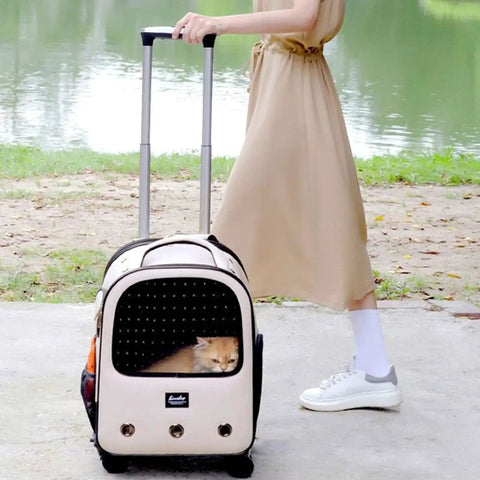 Person using Folding Five Wheel Luggage Cart With Adjustable Height In Three Positions Lightweight Heavy Duty Trolley Capable Of 50kg Compact Foldable Rolling Cart For Bags Pet Carriers And Dog Backpacks with a cat inside by a lake.