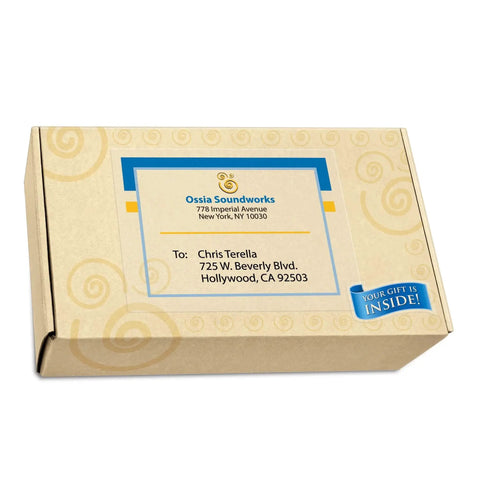 Cardboard shipping box with personalized address label from Ossia Soundworks to Chris Terella, Hollywood, CA.