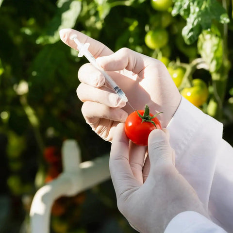 Person using One Milliliter Syringe With 30G 8mm Needle, Individually Wrapped Pack Of 30, injecting into a tomato outdoors.