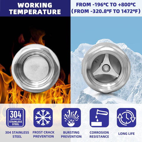 1-inch NPT stainless steel spring check valve, inline vertical, non-return; Amazon brand.