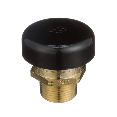 Front view of Watts LFN36-M1 vacuum relief valve; brass body with black low-profile cap, 3/4 inch