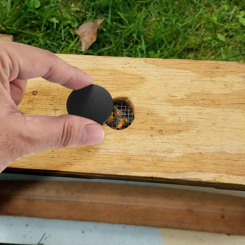 Installing Round Black Plastic Hole Plugs Kit on wooden furniture, covering a drilled hole, part of the 180 pcs set for furniture use.