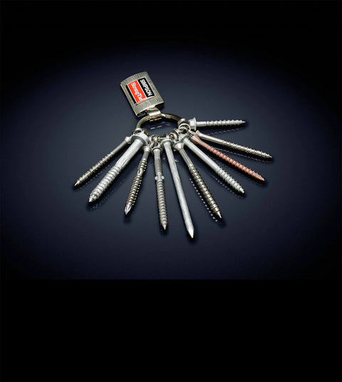 Collection of various screws organized on a keyring against a dark background