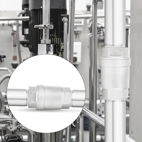 TAISHER 1-inch female vertical check valve, 304 stainless steel, 1-inch pipe size, backflow prevention.