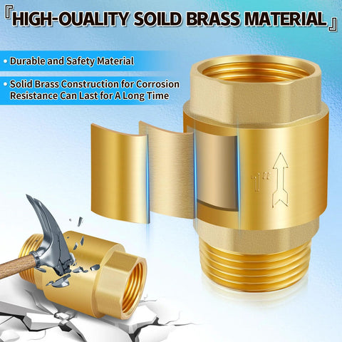 Boltigen brass spring check valve, 3/4 in NPT, inline 2-pack with female to male threaded connections