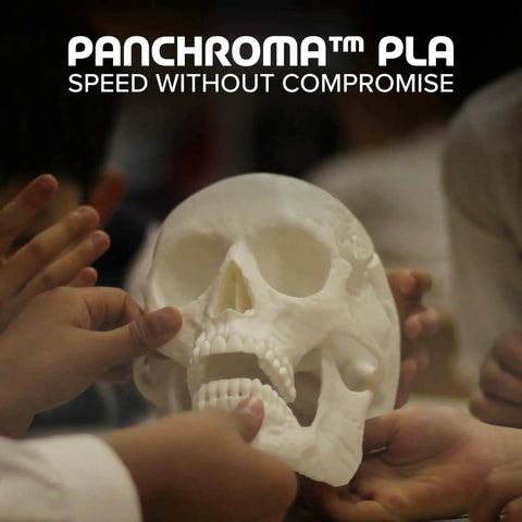 Hands holding a 3D printed skull model using White 1.75mm PLA 3D Printer Filament, 1kg Spool, Easy To Print With High Speed Extrusion, Tangle Free.